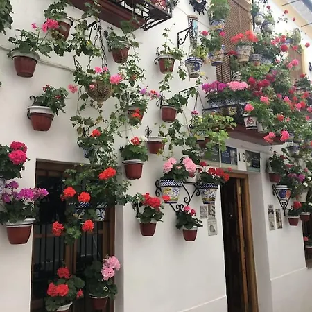 El Rincon De San Miguel