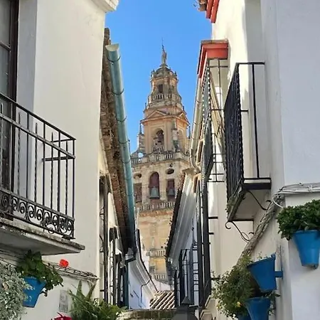 El Rincon De San Miguel Apartment *